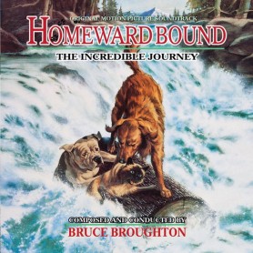 HOMEWARD BOUND: THE INCREDIBLE JOURNEY