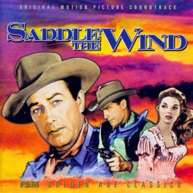 SADDLE IN THE WIND