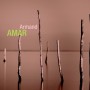 RÉTROSPECTIVE ARMAND AMAR